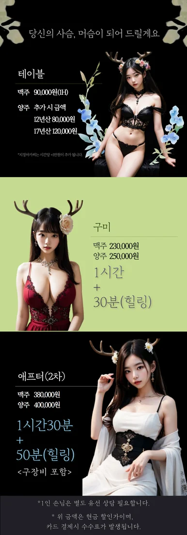 상무지구 룸꽃사슴 광주룸빵달리기 룸 노래홀 가라오케 실내 이미지 3