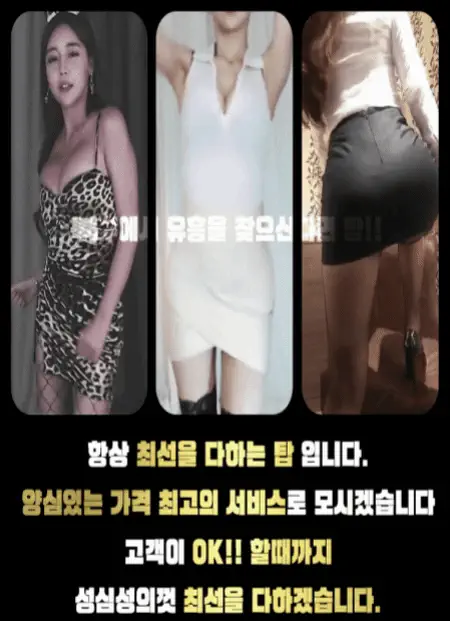 용봉동 top탑 광주룸빵달리기 업소 대표 이미지 - 룸 노래홀 가라오케 대표 사진