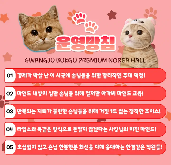 용봉동 고양이노래홀 광주룸빵달리기 룸 노래홀 가라오케 실내 이미지 4